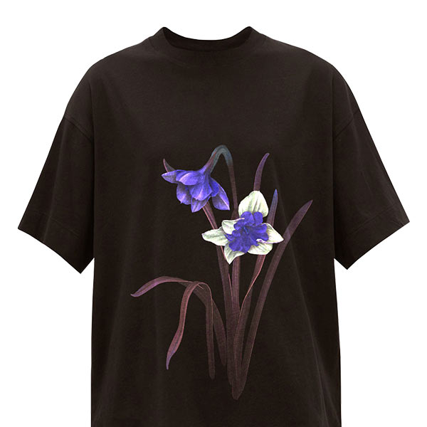 Lilly